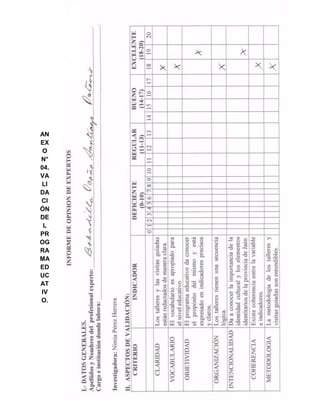 224
AN
EX
O
N°
04.
VA
LI
DA
CI
ÓN
DE
L
PR
OG
RA
MA
ED
UC
AT
IV
O.
 