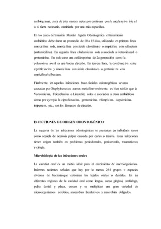 antibiograma, para de esta manera optar por continuar con la medicación inicial
o, si fuera necesario, cambiarla por una más específica.
En los casos de Sinusitis Maxilar Aguda Odontogénica el tratamiento
antibiótico debe durar un promedio de 10 a 15 días, utilizando en primera línea
amoxicilina sola, amoxicilina con ácido clavulánico o ampicilina con sulbactam
(sultamicilina). En segunda línea clindamicina sola o asociada a metronidazol o
gentamicina. En todo caso una cefalosporina de 2a generación como la
cefuroxima axetil es una buena elección. En tercera línea, la combinación entre
ciprofloxacina y amoxicilina con ácido clavulánico o gentamicina con
ampicilina/sulbactam.
Finalmente, en aquellas infecciones buco-faciales odontogénicas severas
causadas por Staphylococcus aureus meticilino-resistente, es bien sabido que la
Vancomicina, Teicoplanina o Linezolid, solos o asociados a otros antibióticos
como por ejemplo la ciprofloxacina, gentamicina, rifampicina, daptomicina,
imipenem, etc., son los fármacos de elección.
INFECCIONES DE ORIGEN ODONTOGÉNICO
La mayoría de las infecciones odontogénicas se presentan en individuos sanos
como secuela de necrosis pulpar causada por caries o trauma. Estas infecciones
tienen origen también en problemas periodontales, pericoronitis, traumatismos
y cirugía.
Microbiología de las infecciones orales
La cavidad oral es un medio ideal para el crecimiento de microorganismos.
Informes recientes señalan que hay por lo menos 264 grupos o especies
diversas de bacteriasque colonizan los tejidos orales o dentales. En las
diferentes regiones de la cavidad oral como lengua, surco gingival, orofaringe,
pulpa dental y placa, crecen y se multiplican una gran variedad de
microorganismos aerobios, anaerobios facultativos y anaerobios obligados.
 
