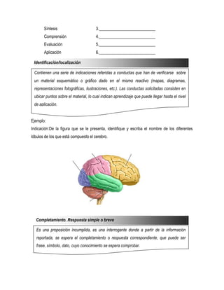 Síntesis                       3.___________________________
       Comprensión                    4.___________________________
       Evaluación                     5.___________________________
       Aplicación                     6.___________________________

 Identificación/localización

 Contienen una serie de indicaciones referidas a conductas que han de verificarse sobre
 un material esquemático o gráfico dado en el mismo reactivo (mapas, diagramas,
 representaciones fotográficas, ilustraciones, etc.). Las conductas solicitadas consisten en
 ubicar puntos sobre el material, lo cual indican aprendizaje que puede llegar hasta el nivel
 de aplicación.


Ejemplo:
Indicación:De la figura que se le presenta, identifique y escriba el nombre de los diferentes
lóbulos de los que está compuesto el cerebro.




  Completamiento. Respuesta simple o breve

   Es una proposición incumplida, es una interrogante donde a partir de la información
   reportada, se espera el completamiento o respuesta correspondiente, que puede ser
   frase, símbolo, dato, cuyo conocimiento se espera comprobar.
 