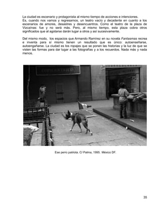 35
La ciudad es escenario y protagonista al mismo tiempo de acciones e intenciones.
Es, cuando nos vamos y regresamos, un teatro vacío y decadente en cuanto a los
escenarios de amores, desastres y desencuentros. Como el teatro de la plaza de
Vizcaínas: fue y no será más. Pero, al mismo tiempo, esta plaza cobra otros
significados que al agotarse darán lugar a otros y así sucesivamente.
Del mismo modo, los espacios que Armando Ramírez en su novela Fantasmas recrea
e inventa para sí mismo tienen un resultado que es único: autoenseñarse,
autoengañarse. La ciudad es los ropajes que se ponen las historias y la luz de que se
visten las formas para dar lugar a las fotografías y a los recuerdos. Nada más y nada
menos.
Ese perro patriota. C/ Palma, 1995. México DF.
 