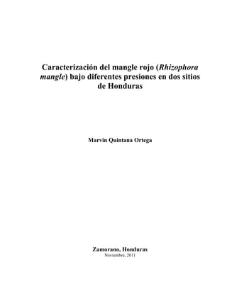 Caracterización del mangle rojo (Rhizophora
mangle) bajo diferentes presiones en dos sitios
                de Honduras




              Marvin Quintana Ortega




               Zamorano, Honduras
                   Noviembre, 2011
 