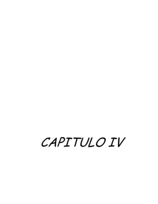 CAPITULO IV
 