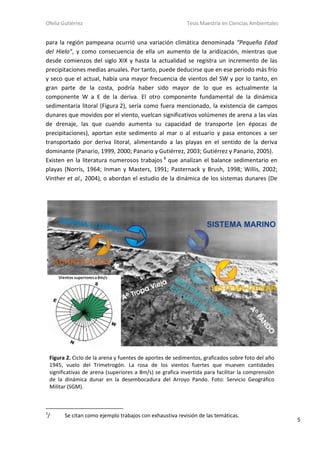 Ofelia Gutiérrez Tesis Maestría en Ciencias Ambientales
5
para la región pampeana ocurrió una variación climática denominada “Pequeña Edad
del Hielo”, y como consecuencia de ella un aumento de la aridización, mientras que
desde comienzos del siglo XIX y hasta la actualidad se registra un incremento de las
precipitaciones medias anuales. Por tanto, puede deducirse que en ese período más frío
y seco que el actual, había una mayor frecuencia de vientos del SW y por lo tanto, en
gran parte de la costa, podría haber sido mayor de lo que es actualmente la
componente W a E de la deriva. El otro componente fundamental de la dinámica
sedimentaria litoral (Figura 2), sería como fuera mencionado, la existencia de campos
dunares que movidos por el viento, vuelcan significativos volúmenes de arena a las vías
de drenaje, las que cuando aumenta su capacidad de transporte (en épocas de
precipitaciones), aportan este sedimento al mar o al estuario y pasa entonces a ser
transportado por deriva litoral, alimentando a las playas en el sentido de la deriva
dominante (Panario, 1999, 2000; Panario y Gutiérrez, 2003; Gutiérrez y Panario, 2005).
Existen en la literatura numerosos trabajos 3
que analizan el balance sedimentario en
playas (Norris, 1964; Inman y Masters, 1991; Pasternack y Brush, 1998; Willis, 2002;
Vinther et al., 2004), o abordan el estudio de la dinámica de los sistemas dunares (De
3
/ Se citan como ejemplo trabajos con exhaustiva revisión de las temáticas.
Figura 2. Ciclo de la arena y fuentes de aportes de sedimentos, graficados sobre foto del año
1945, vuelo del Trimetrogón. La rosa de los vientos fuertes que mueven cantidades
significativas de arena (superiores a 8m/s) se grafica invertida para facilitar la comprensión
de la dinámica dunar en la desembocadura del Arroyo Pando. Foto: Servicio Geográfico
Militar (SGM).
Vientos superioresa8m/s
 