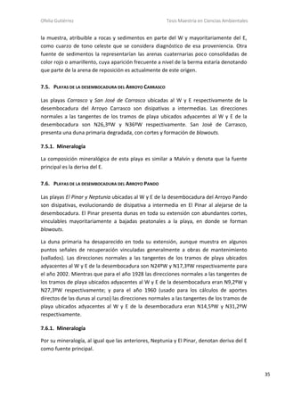 Ofelia Gutiérrez Tesis Maestría en Ciencias Ambientales
35
la muestra, atribuible a rocas y sedimentos en parte del W y mayoritariamente del E,
como cuarzo de tono celeste que se considera diagnóstico de esa proveniencia. Otra
fuente de sedimentos la representarían las arenas cuaternarias poco consolidadas de
color rojo o amarillento, cuya aparición frecuente a nivel de la berma estaría denotando
que parte de la arena de reposición es actualmente de este origen.
7.5. PLAYAS DE LA DESEMBOCADURA DEL ARROYO CARRASCO
Las playas Carrasco y San José de Carrasco ubicadas al W y E respectivamente de la
desembocadura del Arroyo Carrasco son disipativas a intermedias. Las direcciones
normales a las tangentes de los tramos de playa ubicados adyacentes al W y E de la
desembocadura son N26,3ºW y N36ºW respectivamente. San José de Carrasco,
presenta una duna primaria degradada, con cortes y formación de blowouts.
7.5.1. Mineralogía
La composición mineralógica de esta playa es similar a Malvín y denota que la fuente
principal es la deriva del E.
7.6. PLAYAS DE LA DESEMBOCADURA DEL ARROYO PANDO
Las playas El Pinar y Neptunia ubicadas al W y E de la desembocadura del Arroyo Pando
son disipativas, evolucionando de disipativa a intermedia en El Pinar al alejarse de la
desembocadura. El Pinar presenta dunas en toda su extensión con abundantes cortes,
vinculables mayoritariamente a bajadas peatonales a la playa, en donde se forman
blowouts.
La duna primaria ha desaparecido en toda su extensión, aunque muestra en algunos
puntos señales de recuperación vinculadas generalmente a obras de mantenimiento
(vallados). Las direcciones normales a las tangentes de los tramos de playa ubicados
adyacentes al W y E de la desembocadura son N24ºW y N17,3ºW respectivamente para
el año 2002. Mientras que para el año 1928 las direcciones normales a las tangentes de
los tramos de playa ubicados adyacentes al W y E de la desembocadura eran N9,2ºW y
N27,3ºW respectivamente; y para el año 1960 (usado para los cálculos de aportes
directos de las dunas al curso) las direcciones normales a las tangentes de los tramos de
playa ubicados adyacentes al W y E de la desembocadura eran N14,5ºW y N31,2ºW
respectivamente.
7.6.1. Mineralogía
Por su mineralogía, al igual que las anteriores, Neptunia y El Pinar, denotan deriva del E
como fuente principal.
 