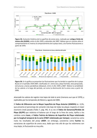 Ofelia Gutiérrez Tesis Maestría en Ciencias Ambientales
60
alcanzado los valores de registro más bajos de toda la serie (menores aun que el 1970), y
explicables por los temporales de febrero y agosto del 2005.
El Índice de Diferencia con la Mayor Superficie de Playa Anterior (IDMSPA) es -3,3%,
que presenta el porcentaje de variación más bajo de todas las playas respecto al mejor
escenario (real) pasado (Tabla 7, pág. 44). A su vez el Índice de Ganancia/Pérdida de
Playa (IG/PP) que relativiza el balance por el largo de la línea de costa, tipifica a los
cambios como leves, el Índice Teórico de Balance de Superficie de Playa relativizado
por la longitud temporal de la serie (ITBSP relativizado por tiempo), caracteriza como
nulos los resultados del proxy LMAP; sin embargo, caracteriza como fuertes las
variaciones de superficie de arena seca, dado que más allá de que los volúmenes son
muy bajos, la fluctuación es muy alta.
Figura 36. Evolución histórica de la superficie de arena seca, realizado por antiguo límite de
marea alta (ALMA), entre el año 1929 y setiembre del 2007. Nótese que en muchos años el
comportamiento es inverso al comportamiento de la playa total, y las fuertes fluctuaciones a
partir de 1970.
1929
1942
1945
1949
1954
1961
1970
1970 1971
1975
1983
1985
1991
1996
2003
20062007
y= 48,358x - 86961
R²= 0,025
p= 0,54
0
10000
20000
30000
1920 1930 1940 1950 1960 1970 1980 1990 2000 2010
Metroscuadrados
Serie de fotos1929 - 2007 (17 registros)
Playa Buceo - ALMA
Arena seca Lineal (Arena seca)
Figura 36. En la gráfica se presentan las fluctuaciones que ha tenido la superficie de la playa
Buceo en el período 1929-2007, clasificadas en: arena seca, playa húmeda, área parquizada,
estructuras y dunas parabólicas (blowout), entre el año 1929 y 2007. Nótese la variabilidad
de los valores a lo largo del período, así como la disminución de la arena seca a partir de
2006.
0
30000
60000
90000
Metroscuadrados
Playa Buceo - Variaciones en área y cobertura del suelo
Estructuras Blowout Fijacion por vegetacion - suelo Playa húmeda Arena seca
 