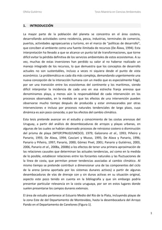 Ofelia Gutiérrez Tesis Maestría en Ciencias Ambientales
1
1. INTRODUCCIÓN
La mayor parte de la población del planeta se concentra en el área costera,
desarrollando actividades como residencia, pesca, industrias, terminales de comercio,
puertos, actividades agropecuarias y turismo, en el marco de "políticas de desarrollo",
que conciben al ambiente como una fuente ilimitada de recursos (De Álava, 1994). Esta
interpretación ha llevado a que se alcance un punto tal de transformaciones, que torne
difícil evitar la pérdida definitiva de los servicios ambientales de estos ecosistemas. A su
vez, muchas de estas inversiones han perdido su valor al no haberse realizado un
manejo integrado de los recursos, lo que demuestra que los conceptos de desarrollo
actuales no son sustentables, incluso a veces ni siquiera desde el punto de vista
económico. La problemática es cada día más compleja, demandando urgentemente una
nueva concepción de la interacción humana con un medio que es especialmente frágil,
por ser una transición entre los ecosistemas del continente y los marítimos, siendo
difícil interpretar la incidencia de cada uno en esa estrecha franja arenosa que
denominamos playa, y menos aún la responsabilidad de cada intervención en los
procesos observados, en la medida en que los efectos de una intervención pueden
observarse mucho tiempo después de producida y estar enmascarados por otras
intervenciones e incluso por procesos naturales tendenciales de largo plazo, cuya
dinámica es aún poco conocida; o por los efectos del cambio climático.
Esta tesis pretende avanzar en el estudio y conocimiento de las costas arenosas del
Uruguay, a partir del análisis de desembocaduras de arroyos y playas urbanas, en
algunas de las cuales se habían observado procesos de retroceso costero o disminución
del prisma de playa (MTOP/PNUD/UNESCO, 1979; Galzerano et al., 1993; Piñeiro y
Panario, 1993; De Alava, 1994; Casciani y Musso, 1995; De Alava y Panario, 1996;
Panario y Piñeiro, 1997; Panario, 2000; Gómez Pivel, 2001; Panario y Gutiérrez, 2003,
2006, Panario et al., 2008a, 2008b) a los efectos de tener una primera aproximación de
las relaciones causales que determinan las actuales tendencias, así como en la medida
de lo posible, establecer relaciones entre los forzantes naturales y las fluctuaciones de
la línea de costa, que permitan prever tendencias asociadas al cambio climático. Al
mismo tiempo se pretende contribuir a dimensionar una de las componentes del ciclo
de la arena (arena aportada por los sistemas dunares activos) a partir de algunas
desembocaduras de vías de drenaje con y sin dunas activas en su situación original,
aspecto este poco tenido en cuenta en la bibliografía y que sin embargo podría
presentar particular relevancia en la costa uruguaya, por ser en estos lugares donde
suelen presentarse los campos dunares extensos.
El área de estudio pertenece al Estuario Medio del Río de la Plata, incluyendo playas de
la zona Este de del Departamento de Montevideo, hasta la desembocadura del Arroyo
Pando en el Departamento de Canelones (Figura 1).
 