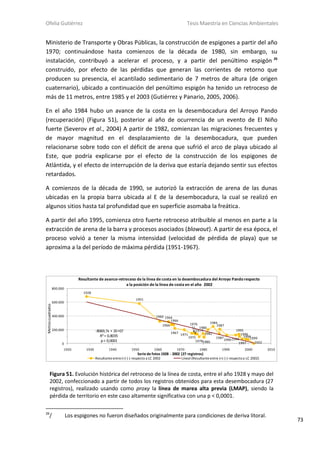 Ofelia Gutiérrez Tesis Maestría en Ciencias Ambientales
73
Ministerio de Transporte y Obras Públicas, la construcción de espigones a partir del año
1970; continuándose hasta comienzos de la década de 1980, sin embargo, su
instalación, contribuyó a acelerar el proceso, y a partir del penúltimo espigón 26
construido, por efecto de las pérdidas que generan las corrientes de retorno que
producen su presencia, el acantilado sedimentario de 7 metros de altura (de origen
cuaternario), ubicado a continuación del penúltimo espigón ha tenido un retroceso de
más de 11 metros, entre 1985 y el 2003 (Gutiérrez y Panario, 2005, 2006).
En el año 1984 hubo un avance de la costa en la desembocadura del Arroyo Pando
(recuperación) (Figura 51), posterior al año de ocurrencia de un evento de El Niño
fuerte (Severov et al., 2004) A partir de 1982, comienzan las migraciones frecuentes y
de mayor magnitud en el desplazamiento de la desembocadura, que pueden
relacionarse sobre todo con el déficit de arena que sufrió el arco de playa ubicado al
Este, que podría explicarse por el efecto de la construcción de los espigones de
Atlántida, y el efecto de interrupción de la deriva que estaría dejando sentir sus efectos
retardados.
A comienzos de la década de 1990, se autorizó la extracción de arena de las dunas
ubicadas en la propia barra ubicada al E de la desembocadura, la cual se realizó en
algunos sitios hasta tal profundidad que en superficie asomaba la freática.
A partir del año 1995, comienza otro fuerte retroceso atribuible al menos en parte a la
extracción de arena de la barra y procesos asociados (blowout). A partir de esa época, el
proceso volvió a tener la misma intensidad (velocidad de pérdida de playa) que se
aproxima a la del período de máxima pérdida (1951-1967).
26
/ Los espigones no fueron diseñados originalmente para condiciones de deriva litoral.
Figura 51. Evolución histórica del retroceso de la línea de costa, entre el año 1928 y mayo del
2002, confeccionado a partir de todos los registros obtenidos para esta desembocadura (27
registros), realizado usando como proxy la línea de marea alta previa (LMAP), siendo la
pérdida de territorio en este caso altamente significativa con una p < 0,0001.
1928
1951
1960 1964
1966
1967
1966
1971
1975
1976
1977
1978
1980
1980
1982
1984
1987
1987
19901994
1995
1996
1997
19981999
2002
-8069,7x + 2E+07
R²= 0,8035
p< 0,0001
0
200.000
400.000
600.000
800.000
1920 1930 1940 1950 1960 1970 1980 1990 2000 2010
Metroscuadrados
Serie de fotos1928 - 2002 (27 registros)
Resultante de avance-retroceso de la línea de costa en la desembocadura del Arroyo Pandorespecto
a la posición de la línea de costa en el año 2002
Resultanteentre(+) (-) respecto a LC 2002 Lineal (Resultanteentre (+) (-) respectoa LC 2002)
 