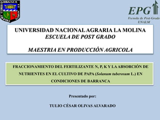UNIVERSIDAD NACIONALAGRARIA LA MOLINA
ESCUELA DE POST GRADO
MAESTRIA EN PRODUCCIÓN AGRICOLA
FRACCIONAMIENTO DEL FERTILIZANTE N, P, K Y LAABSORCIÓN DE
NUTRIENTES EN EL CULTIVO DE PAPA (Solanum tuberosum L.) EN
CONDICIONES DE BARRANCA
Presentado por:
TULIO CÉSAR OLIVAS ALVARADO
 