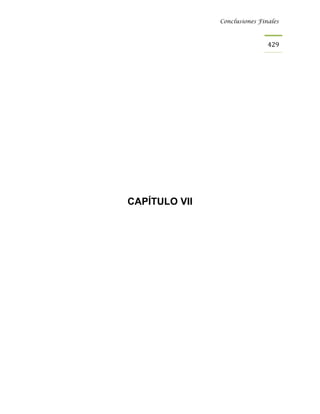 Conclusiones Finales



                               429




CAPÍTULO VII
 