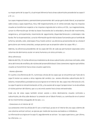 su mayor parte de la capa III; y la principal eferencia hacia áreas subcorticales procede de las capas V
y VI. (25)
Las capas magnocelulares y parvocelulares provenientes del cuerpo geniculado lateral, se proyectan
sobre áreas y capas específicas, IVα y IVβ respectivamente, en el córtex estriado. Aquí los impulsos
visuales se transforman respecto a los impulsos originales de la retina y el CGL. Las magnocelulares,
cursan la información que brinda las bases funcionales de la velocidad y dirección del movimiento,
vergencias y, principalmente, movimiento de seguimiento, disparidad binocular y estereopsis más
burda. Por la vía parvocelular, cursa la información que brinda las bases funcionales para el sentido de
la forma, tamaño, color, estereopsis fina y fusión central. Las aferencias provenientes de las células K
geniculares son menos conocidas, aunque parece que se proyectan sobre las capas IIIB y I.
Además, las aferencias procedentes de las capas del CGL de cada ojo permanecen separadas como
columnas de dominancia ocular en seres humanos y en otros primates.(52)
Otras aferencias
Además del CGL, V1 recibe aferencias modulatorias de áreas subcorticales y de áreas corticales, entre
otras del tronco de encéfaloy de núcleos del prosencéfalobasal.Estas conexiones regulanqué señales
visuales se transmitirán hacia áreas visuales superiores.
- Axones eferentes
En cuanto a las eferencias de V1, numerosas células de las capas que se encuentran por fuera de la
capa IV envían sus axones a otras regiones del cerebro. Los axones eferentes subcorticales de V1
(tálamo, mesencéfalo y protuberancia) se originan en el interior de dos capas más inferiores (V y VI).
La capa VI aporta la retroalimentación al CGL, y los axones de la capa V proporcionan la vía de señales
al núcleo pulvinar del tálamo, que a su vez envía axones hacia áreas extraestriadas.
Cada una de estas capas también envían axones a otros destinatarios visuales corticales y
subcorticales; de ellos cabe destacar la conexión con el lóbulo frontal y su contribución en el control
de los movimientos conjugados de los ojos. (215)
- Conexiones en el interior de V1
Las conexiones entre las células de V1 son a nivel local, ya sea en el interior de una capa o dentro de
una columna vertical cortical, se ejecuta por medio de neuronas excitadoras o inhibidoras.
La información se origina en la capa IV, seguidamente se activan las capas superiores y, por último,
las inferiores. (23)
 