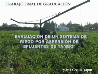 TRABAJO FINAL DE GRADUACIÓN
María Cecilia Yapur
 