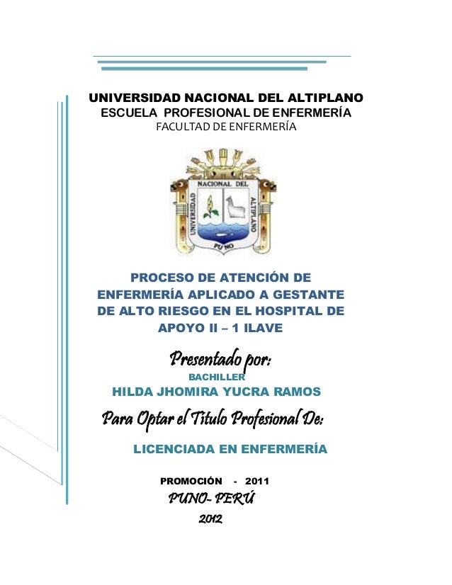 Tesis proceso de atención de enfermería aplicado a gestante Tesis proceso de atención de enfermería aplicado a gestante