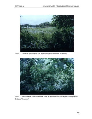 CAPÍTULO V PRESENTACIÓN Y DISCUSIÓN DE RESULTADOS
Foto 5.12. Canal de aproximación con vegetación densa. Embalse “El Andino”.
Foto 5.13. Parados en el cimacio viendo el canal de aproximación, con vegetación muy densa.
Embalse “El Andino”.
90
 