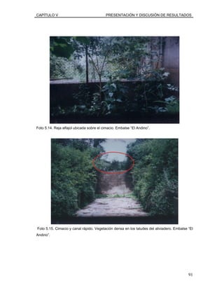 CAPÍTULO V PRESENTACIÓN Y DISCUSIÓN DE RESULTADOS
Foto 5.14. Reja alfajol ubicada sobre el cimacio. Embalse “El Andino”.
Foto 5.15. Cimacio y canal rápido. Vegetación densa en los taludes del aliviadero. Embalse “El
Andino”.
91
 
