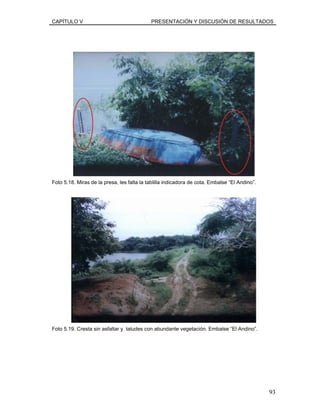 CAPÍTULO V PRESENTACIÓN Y DISCUSIÓN DE RESULTADOS
Foto 5.18. Miras de la presa, les falta la tablilla indicadora de cota. Embalse “El Andino”.
Foto 5.19. Cresta sin asfaltar y taludes con abundante vegetación. Embalse “El Andino”.
93
 