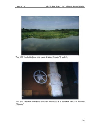 CAPÍTULO V PRESENTACIÓN Y DISCUSIÓN DE RESULTADOS
Foto 5.20. Vegetación densa en el espejo de agua. Embalse “El Andino”.
Foto 5.21. Válvula de emergencia (mariposa), inundación de la cámara de maniobras. Embalse
“El Andino”.
94
 