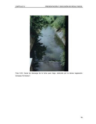 CAPÍTULO V PRESENTACIÓN Y DISCUSIÓN DE RESULTADOS
Foto 5.23. Canal de descarga de la toma para riego, obstruida por la densa vegetación.
Embalse “El Andino”.
96
 