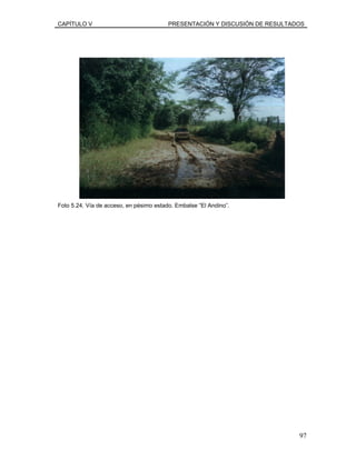 CAPÍTULO V PRESENTACIÓN Y DISCUSIÓN DE RESULTADOS
Foto 5.24. Vía de acceso, en pésimo estado. Embalse “El Andino”.
97
 