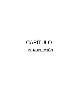 CAPÍTULO I
INTRODUCCIÓN
 