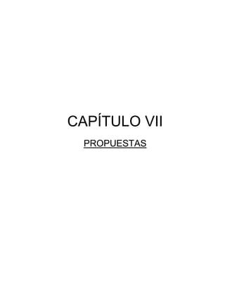 CAPÍTULO VII
PROPUESTAS
 