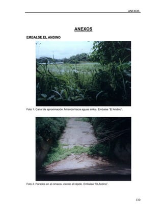 ANEXOS
ANEXOS
EMBALSE EL ANDINO
Foto 1. Canal de aproximación. Mirando hacia aguas arriba. Embalse “El Andino”.
Foto 2. Parados en el cimacio, viendo el rápido. Embalse “El Andino”.
130
 