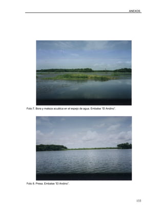 ANEXOS
Foto 7. Bora y maleza acuática en el espejo de agua. Embalse “El Andino”.
Foto 8. Presa. Embalse “El Andino”.
133
 