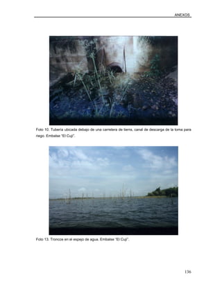 ANEXOS
Foto 10. Tubería ubicada debajo de una carretera de tierra, canal de descarga de la toma para
riego. Embalse “El Cují”.
Foto 13. Troncos en el espejo de agua. Embalse “El Cují”.
136
 