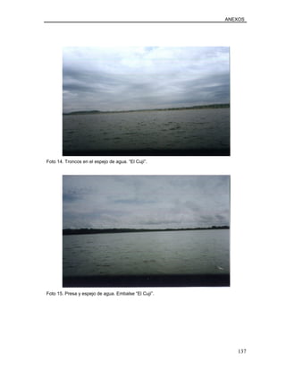 ANEXOS
Foto 14. Troncos en el espejo de agua. “El Cují”.
Foto 15. Presa y espejo de agua. Embalse “El Cují”.
137
 