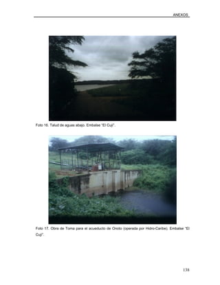 ANEXOS
Foto 16. Talud de aguas abajo. Embalse “El Cují”.
Foto 17. Obra de Toma para el acueducto de Onoto (operada por Hidro-Caribe). Embalse “El
Cují”.
138
 