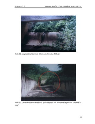 CAPÍTULO V PRESENTACIÓN Y DISCUSIÓN DE RESULTADOS
Foto 5.2. Vegetación a la entrada del cimacio. Embalse “El Cují”.
Foto 5.3. Canal rápido en buen estado, pozo disipador con abundante vegetación. Embalse “El
Cují”.
77
 