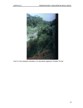 CAPÍTULO V PRESENTACIÓN Y DISCUSIÓN DE RESULTADOS
Foto 5.5. Pozo disipador colmatado y con abundante vegetación. Embalse “El Cují”.
79
 