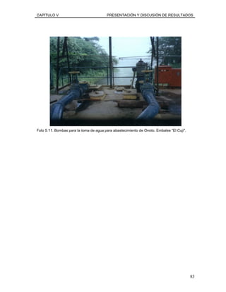 CAPÍTULO V PRESENTACIÓN Y DISCUSIÓN DE RESULTADOS
Foto 5.11. Bombas para la toma de agua para abastecimiento de Onoto. Embalse “El Cují”.
83
 