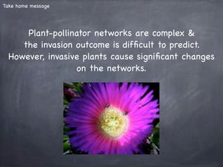 Plant-pollination networks and plant invasions