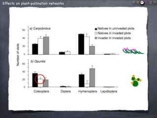 Effects on plant-pollination networks
Carpobrotus aff. acinaciformis
Plants
Pollinators
I C
 