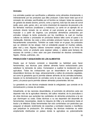 50
Animales
Los animales pueden ser sacrificados y utilizados como alimentos directamente, o
indirectamente por los productos que ellos producen. Cabe hacer notar que en el
concepto de animales sacrificables por el hombre se incluyen: todas las especies
de ganado de abasto (bovino, porcino, ovino y caprino), todo tipo de aves de corral
(pollo, pavo, pato, ganso, etc.), así como diversidad de especies de pescado y de
los llamados mariscos (crustáceos y moluscos). La carne en un ejemplo de un
producto directo tomado de un animal, el cual proviene ya sea del sistema
muscular o a partir de órganos. Los productos alimenticios producidos por
animales incluyen la leche producida por los mamíferos, la cual en muchas
culturas es bebida o procesada en productos lácteos tales como el queso o la
mantequilla. Además, las aves y otros animales producen huevos, los cuales son
frecuentemente consumidos. También se suele incluir en el grupo, los productos
que se obtienen de las abejas: miel un endulzante popular en muchas culturas,
jalea real y cera. Algunas culturas consumen sangre, algunas en la forma de
salchichas, como un producto para espesar salsas, o salada para tiempos de
escasez de comida y otros usan una gran diversidad de vísceras comestibles:
hígado, riñones, pulmones, etc.
PRODUCCIÓN Y ADQUICISIÓN DE LOS ALIMENTOS
Desde que el humano comenzó a desarrollar su habilidad para hacer
herramientas, sus técnicas para obtener alimento fueron evolucionando para
satisfacer la demanda de estos. Comenzaron a sustituir la recolección por la
agricultura. Todas las civilizaciones que se desarrollaron en la antigüedad
desarrollaron técnicas de riego, almacenamiento y cultivo de productos vegetales,
así como la ganadería que le permitía obtener alimento de los animales terrestres,
basada en la domesticación de animales como la vaca, la oveja, el caballo o el
perro; y la pesca que le permitía obtener alimentos provenientes del mar.
La ganadería es una técnica empleada desde la antigüedad, que consiste en la
domesticación y crianza de animales.
Actualmente, en las naciones desarrolladas, el suministro de alimentos cada vez
depende más de la agricultura intensiva, del cultivo industrial, de la piscicultura o
de otras técnicas que aumentan las cantidades de alimentos producidos a la vez
que disminuyen su costo. Estas técnicas a su vez dependen del desarrollo de
herramientas mecanizadas, desde la máquina de trillar y la sembradora hasta el
tractor y la trilladora. Estas herramientas han sido combinadas con pesticidas que
aseguran el elevado rendimiento de cosechas y combaten insectos o mamíferos
que perjudican la producción. Sin embargo, las técnicas modernas no están
ampliamente distribuidas en países donde la agricultura es potencialmente
 