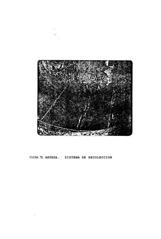 FIGLJRA 75. ARTESA.   SISTEMA DE RECOLECCION
 