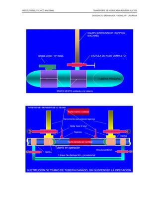 INSTITUTO POLITECNICO NACIONAL TRANSPORTE DE HIDROCARBUROS POR DUCTOS
GASODUCTO SALAMANCA – MORELIA – URUAPAN
Lentamente cerramos la válvula número 1, de la derivación igualador del
obturador número 2, e inmediatamente cerramos también la válvula número 1
de la derivación igualadora número 1.
Procederemos enseguida a depresionar el tramo afectado abriendo muy
lentamente la válvula número 3 de la derivación igualadora del obturador
número 1, inmediatamente saldrá producto de la línea. Si se tratara de gas
tardaría mucho tiempo en vaciarse y en ese caso cuando hemos iniciado el
abatimiento de la presión, abrimos también la válvula número 3 del obturador
número 2 para que el vaciado sea mas rápido, pero previamente hemos iniciado
el abatimiento de la presión con la válvula del obturador número 1, abatimos
muy rápidamente la presión al derramar el producto, razón por la cual
tratándose del liquido, la válvula debe abrirse mas lentamente.
Como decíamos anteriormente, tratándose de gases, el vaciado del tramo
tomara un tiempo considerable, debido a su compresibilidad, tratándose de
líquidos el abatimiento de la presión se producirá rápidamente, pero la tubería
quedara llena.
En estas condiciones las válvulas se encuentran en la forma siguiente: válvulas
número 1 de la derivación igualadora de ambos obturadores cerradas; todas las
demás válvulas, incluyendo las válvulas de tajadera están abiertas. El tramo esta
seccionado y el flujo pasa a través de la derivación principal.
Tratándose de gases, una vez que ha dejado de salir gas por las válvulas número
3, y por lo tanto se ha confirmado el sello correcto de los obturadores, se
procede a cortar la tubería o a efectuar los trabajos que se pretendían.
Tratándose de líquidos, el sello de los obturadores se confirma por que a través
de las válvulas número 3, han dejado de derramar productos, puede entonces
iniciarse la maniobra de vaciado ya sea cortando la tubería o en la forma que se
considere mas importante o pertinente.
El seccionamiento del tramo esta logrado y se puede trabajar libremente en el
mismo, desde luego con las restricciones consiguientes que impone en primer
lugar el contenido de la tubería, y en segundo lugar tratar de que los
obturadores que están actuando y sosteniendo la presión total de la tubería
principal no se muevan o vayan a ser afectados por los trabajos que se realicen.
 