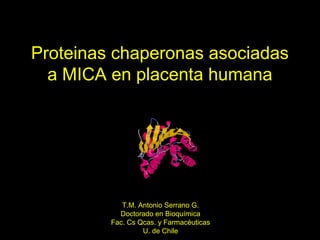 Proteinas chaperonas asociadas
a MICA en placenta humana
T.M. Antonio Serrano G.
Doctorado en Bioquímica
Fac. Cs Qcas. y Farmacéuticas
U. de Chile
 