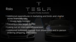 Tesla Risk Process Tesla project | PDF