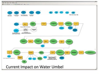 Current Impact on Water Umbel 