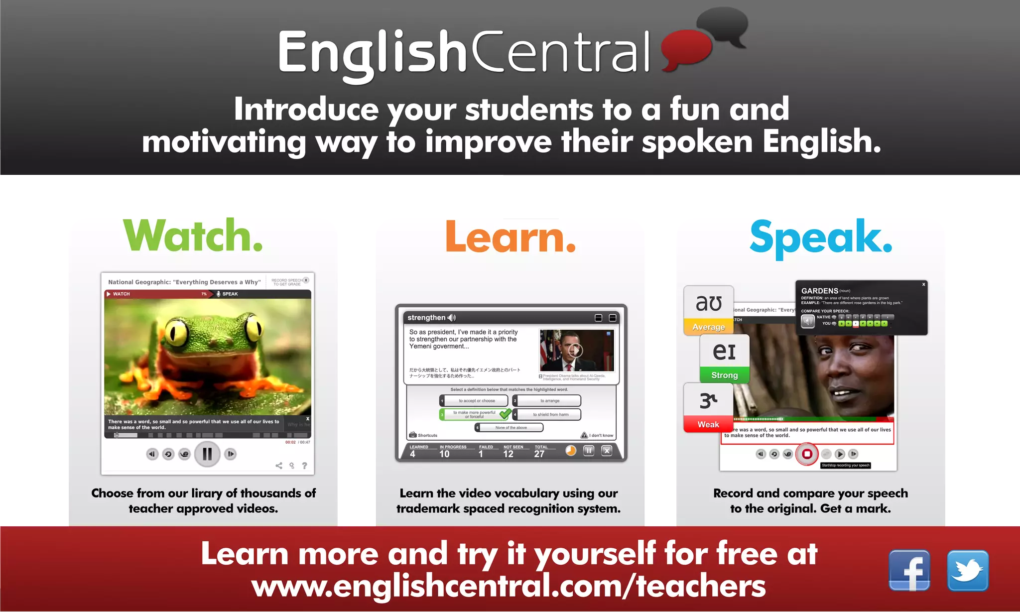 Teachers Promotional Flyer | PPT