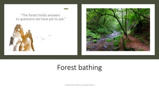 Forest bathing
Chryssanthe Sotiriou, Doukas School
 