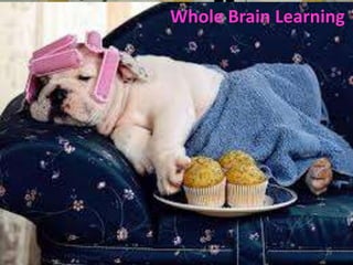 Whole Brain Learning




                 29
 