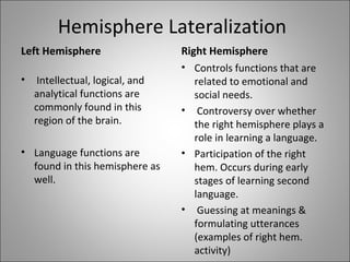 Hemisphere Lateralization Left Hemisphere Intellectual, logical, and analytical functions are commonly found in this region of the brain. Language functions are found in this hemisphere as well. Right Hemisphere Controls functions that are related to emotional and social needs. Controversy over whether the right hemisphere plays a role in learning a language. Participation of the right hem. Occurs during early stages of learning second language. Guessing at meanings & formulating utterances (examples of right hem. activity) Second Language learners might benefit from more encouragement of right brain activity in classroom.