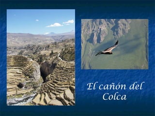 El cañón del
Colca