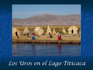 Los Uros en el Lago Titicaca