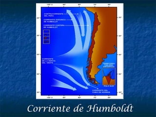 Corriente de Humboldt