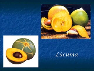 Lúcuma