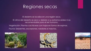 Regiones secas
El desierto se localiza en una región seca.
El clima del desierto es seco y debido a su extrema aridez ni es
recomendable para el ser humano.
Vegetación: Plantas cactáceas con hojas en forma de espinas.
Fauna: Serpientes, escorpiones, roedores e insectos.
 