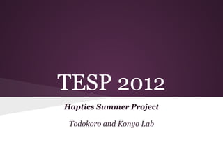 TESP 2012
Haptics Summer Project

 Todokoro and Konyo Lab
 